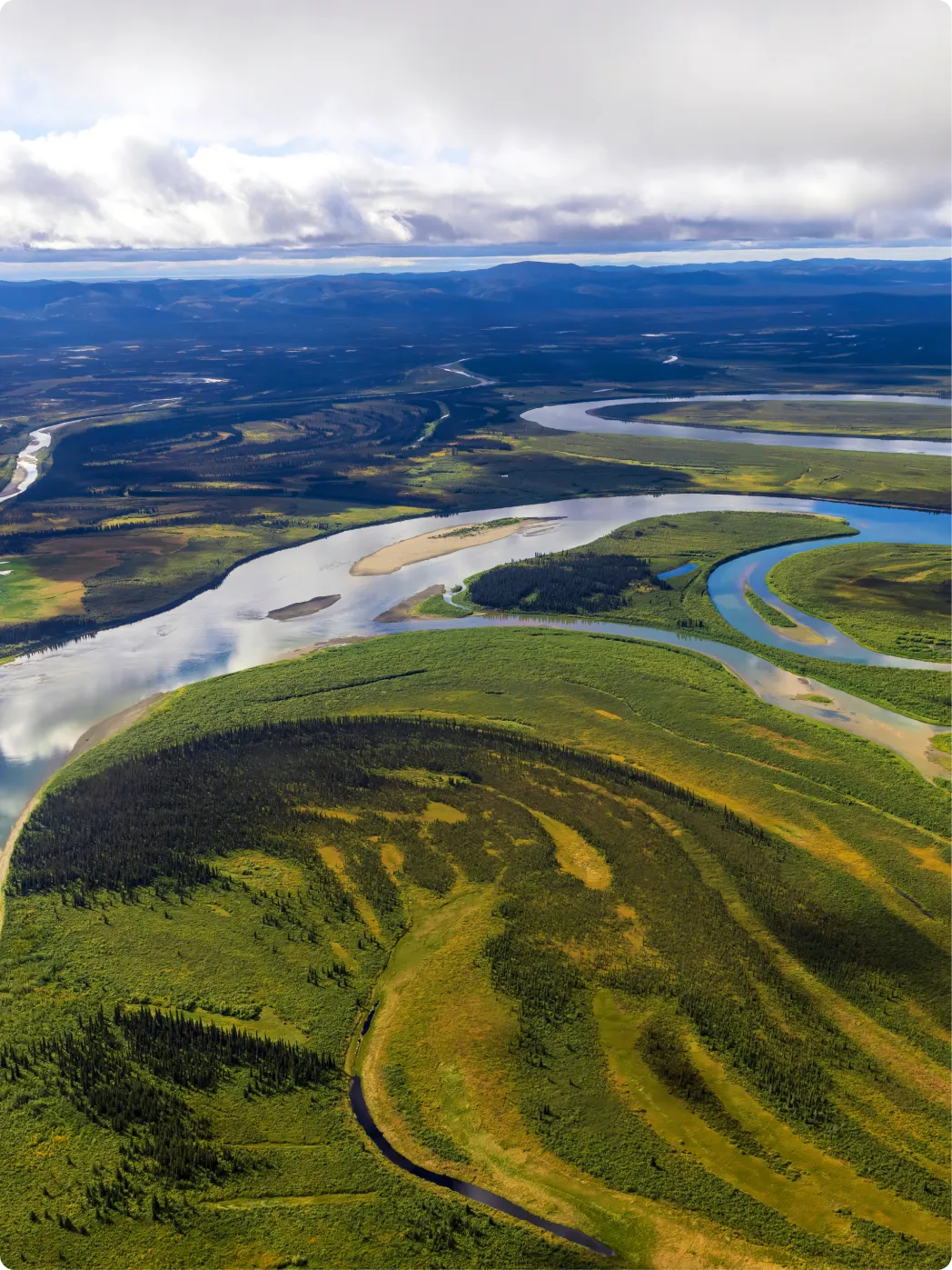 An aerial view of a green landscape