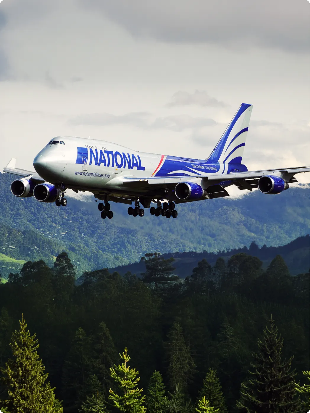 An airplane flying against a background of trees